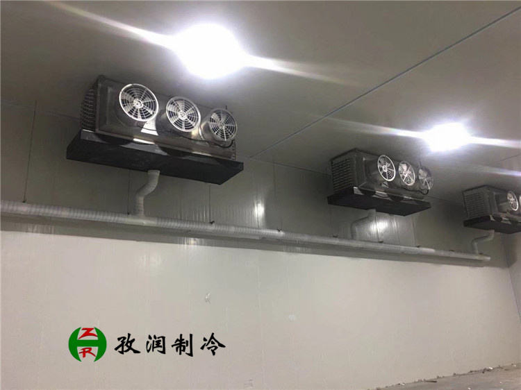 安徽工業(yè)冷庫-工業(yè)原料倉儲冷庫-防爆冷庫設(shè)計(jì)施工 